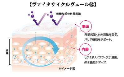 リニューアルされたディセンシア アヤナストライアルセット レビュー 美仁ぷらす