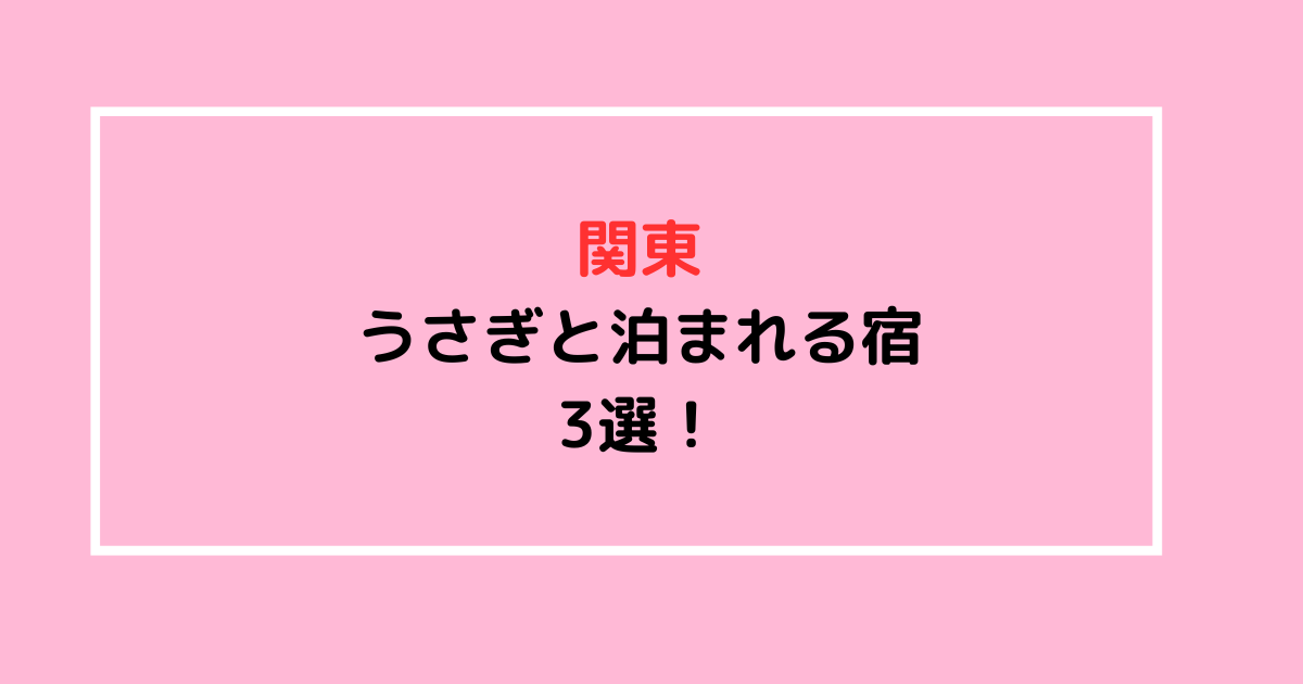 うさぎと泊まれる宿